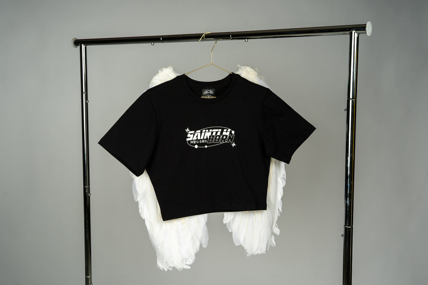 Fallen Angel Crop Top