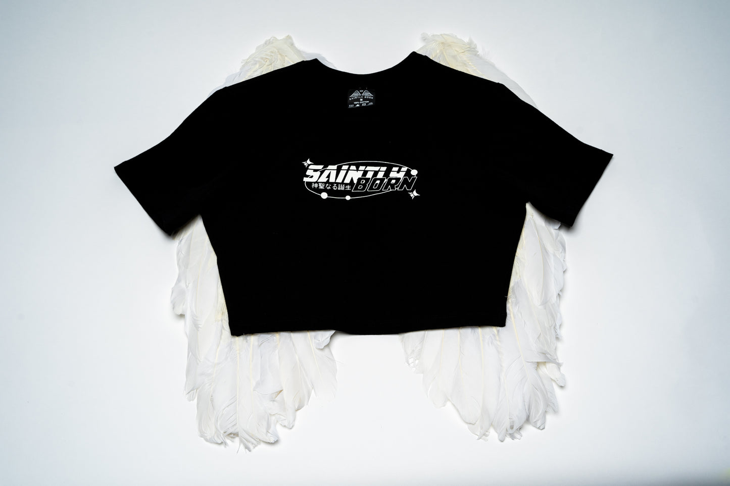 Fallen Angel Crop Top